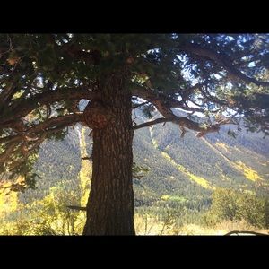 Meet your Posher, Mj